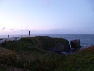 P1050953-fx80.JPG