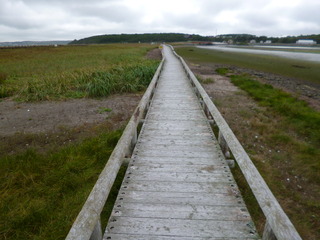 P1060052-fx80.JPG