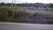 P1060062-fx80.MP4#000015