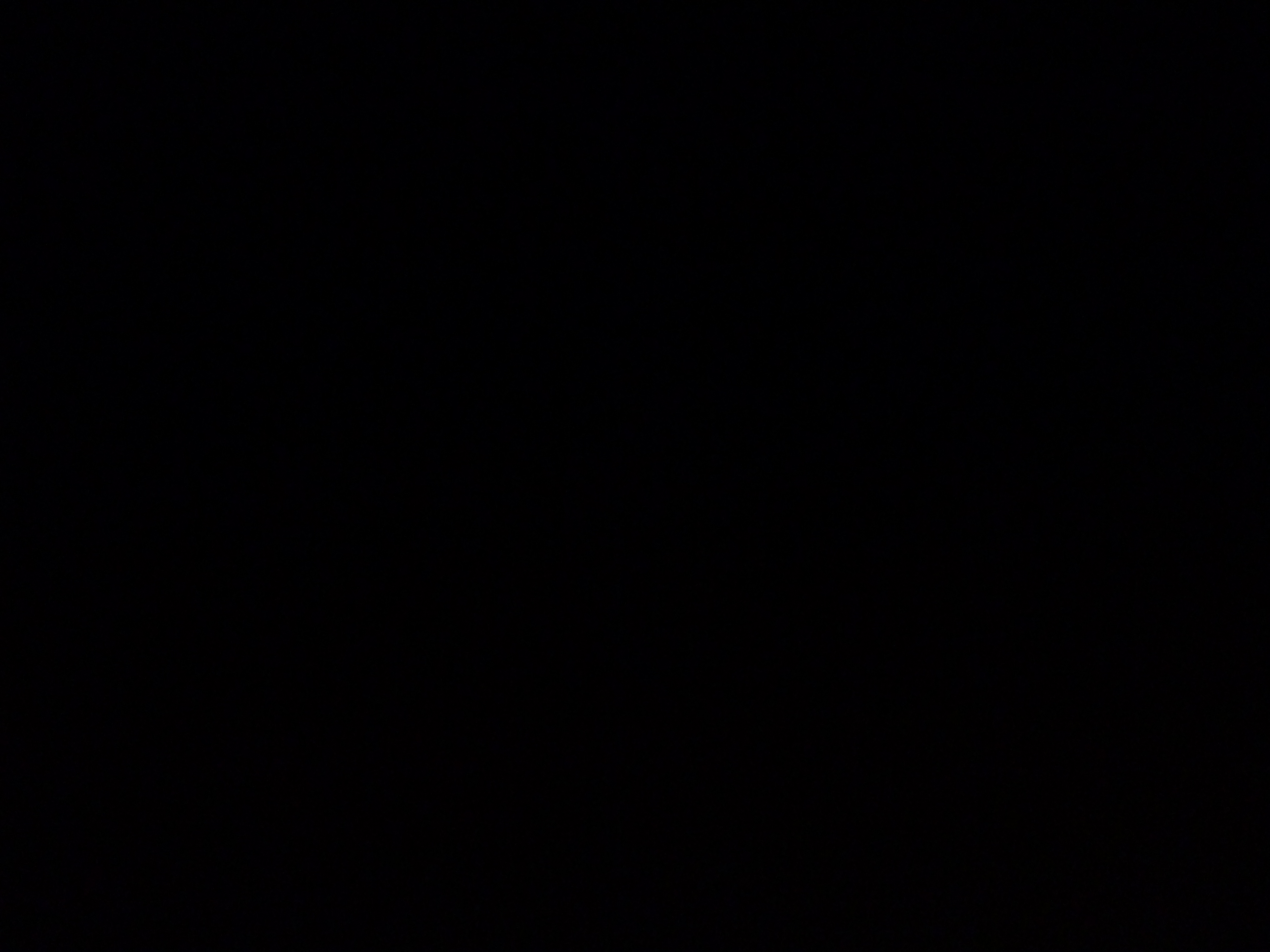 P1060886-fx80