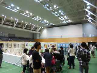 P1080440-fx80.JPG