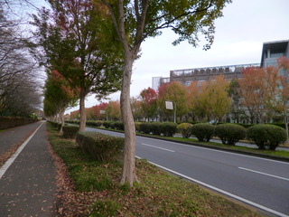 P1080514-fx80.JPG