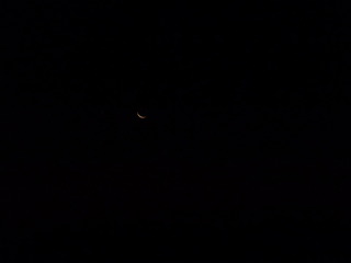 P1090431-fx80.JPG