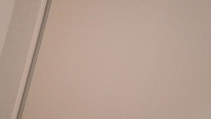 P1090652-fx80.MP4#000115