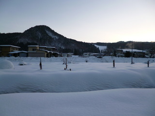P1090786-fx80.JPG