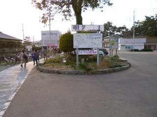 P1110425-fx80.JPG
