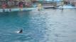 P1120148-fx80.MP4#000230