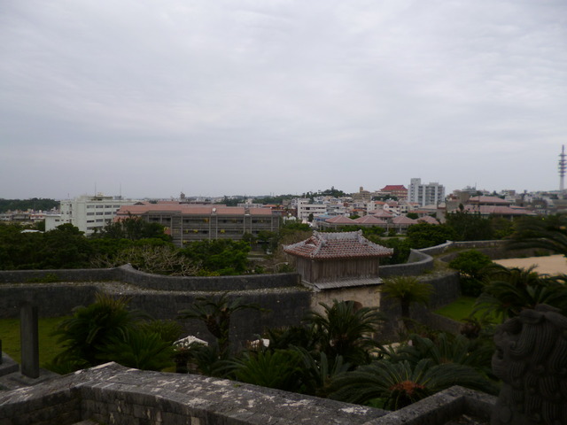 P1120615-fx80