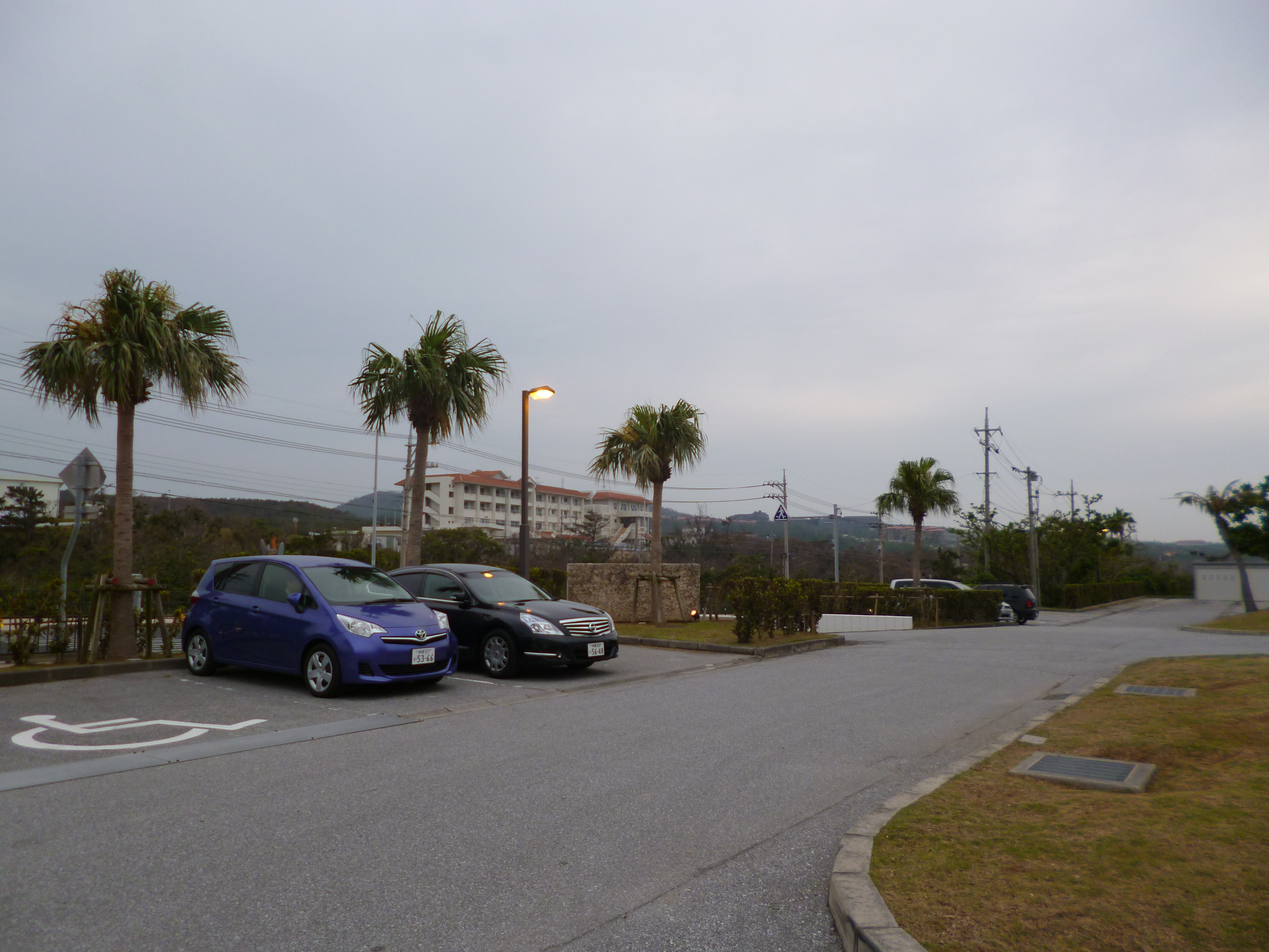 P1120820-fx80
