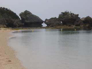 P1120782-fx80.JPG