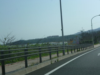 P1120867-fx80.JPG