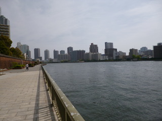 P1120969-fx80.JPG