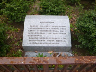 P1130086-fx80.JPG
