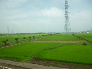 P1140930-fx80.JPG