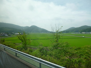 P1140934-fx80.JPG