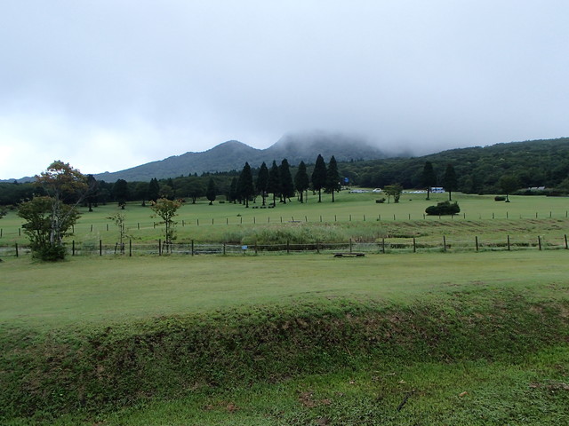 P9050474-tg630