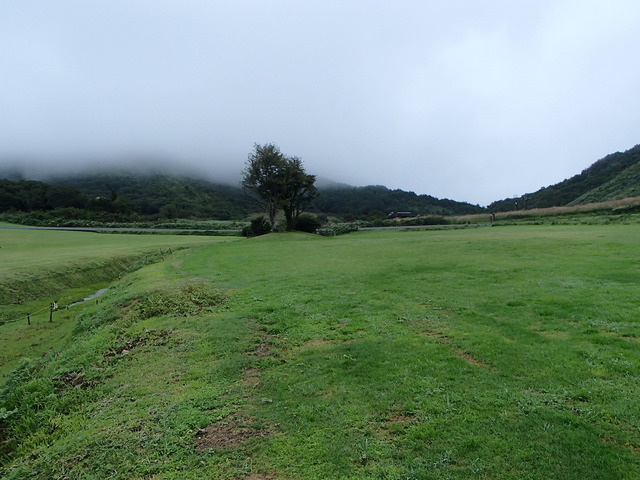 P9050476-tg630