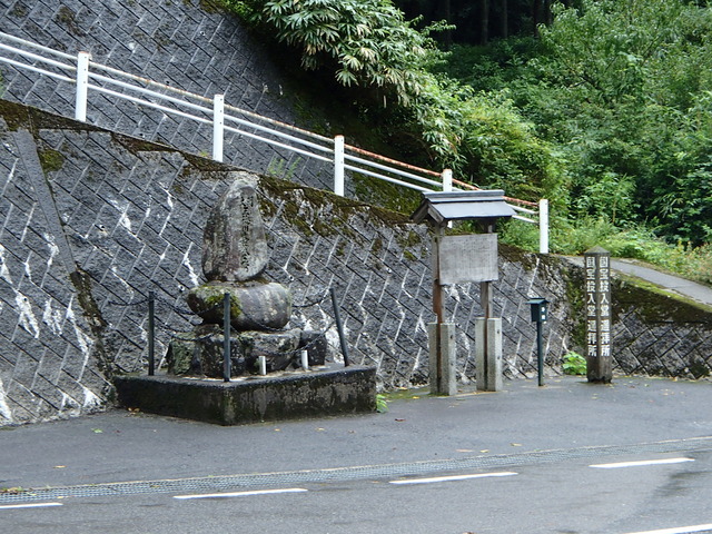 P9050528-tg630
