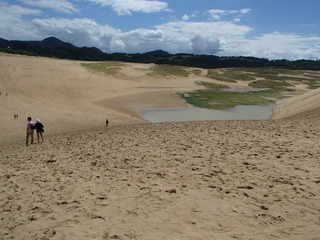 P9050638-tg630.JPG