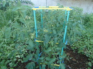 P9281326-tg630.JPG