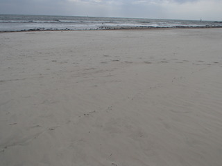 P9301608-tg630.JPG