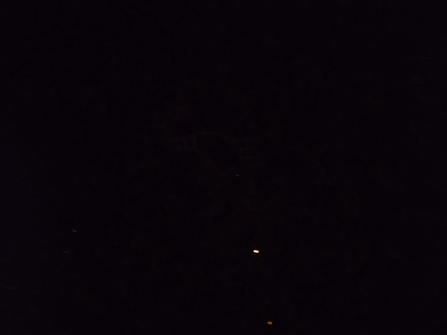 PA022042-tg630