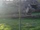 PA032164-tg630.MOV#000115