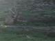 PA032169-tg630.MOV#000015