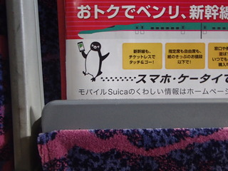 PC310320-tg630.JPG