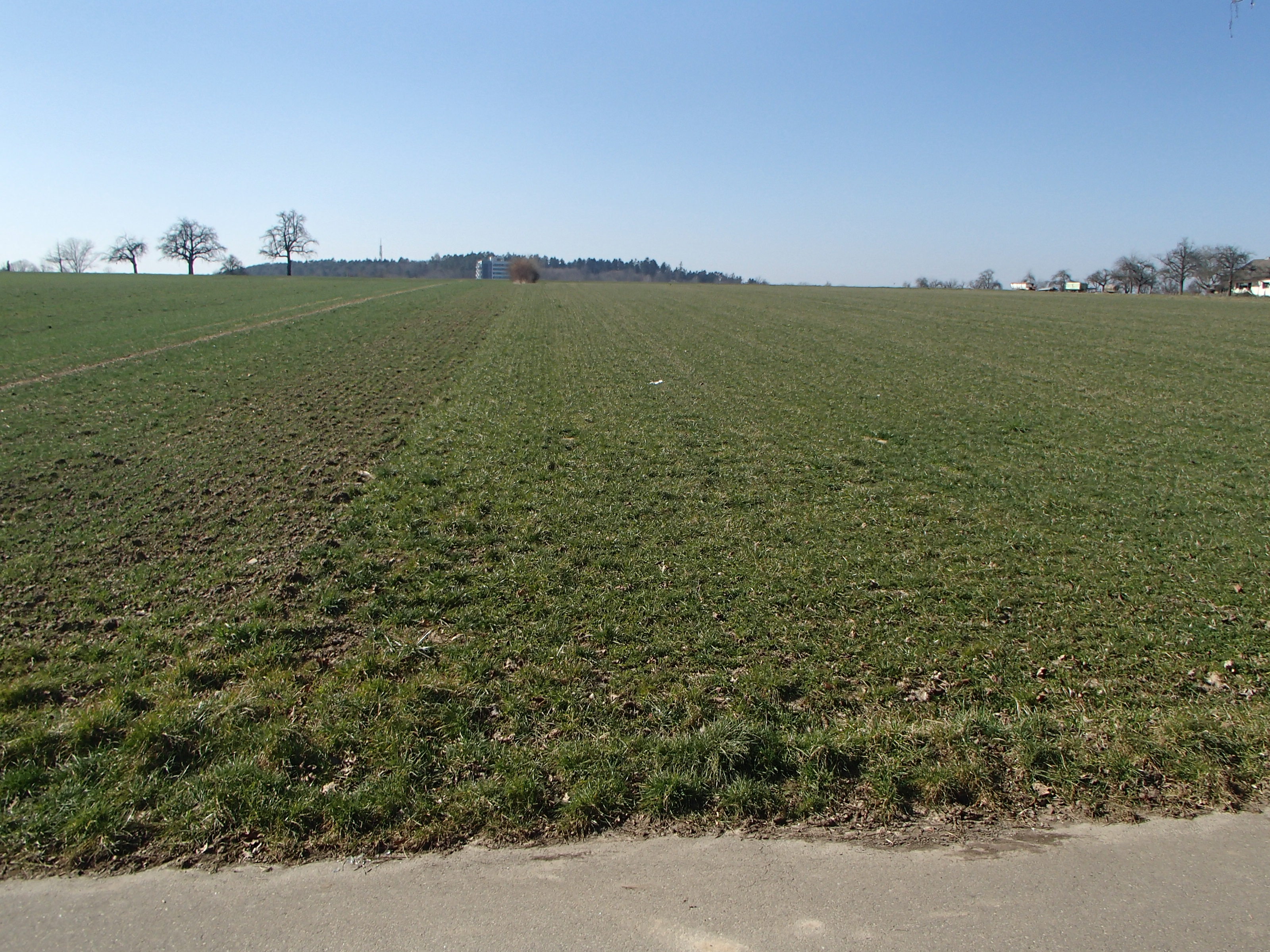 P3121444-tg630