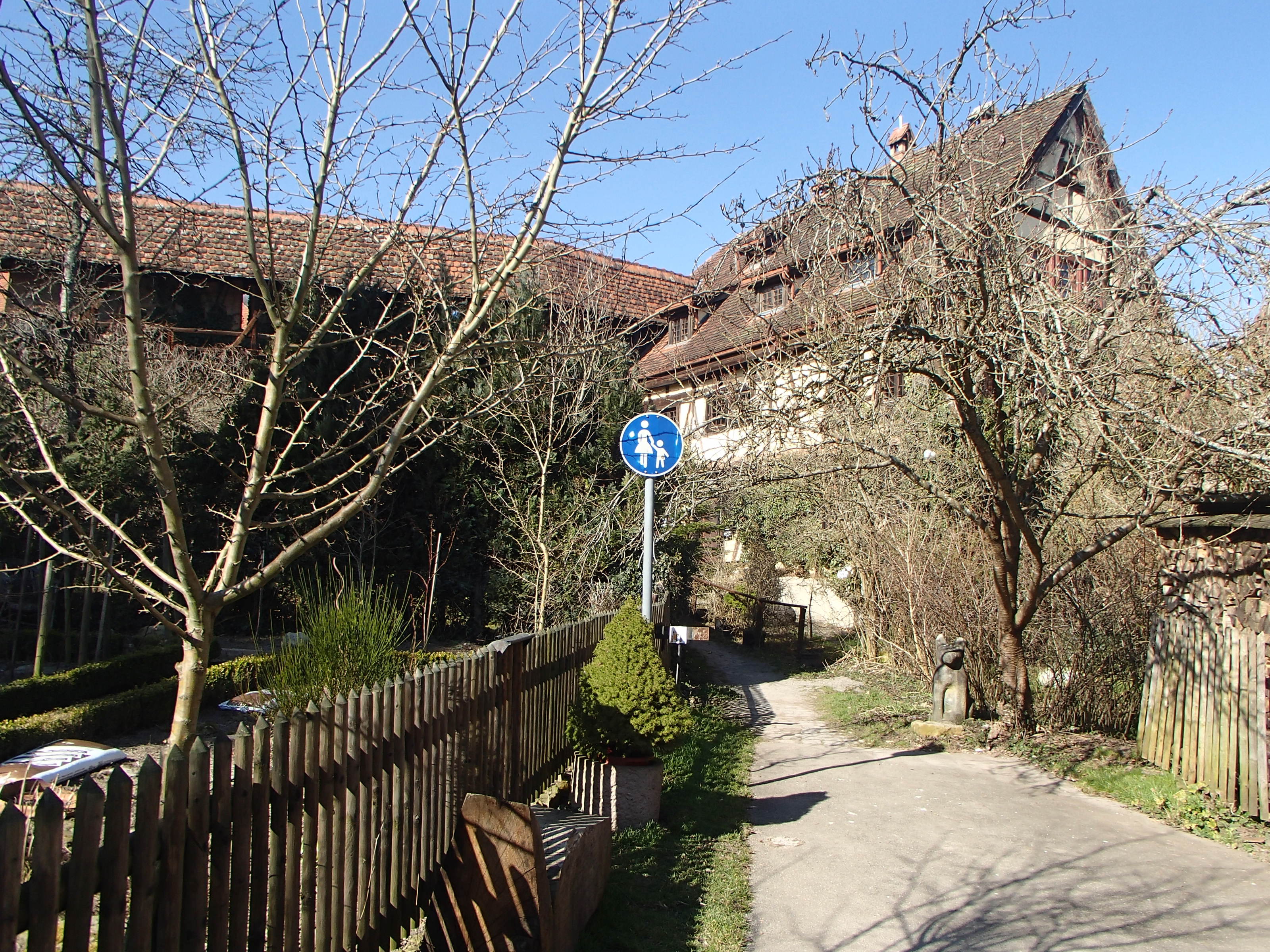 P3121476-tg630