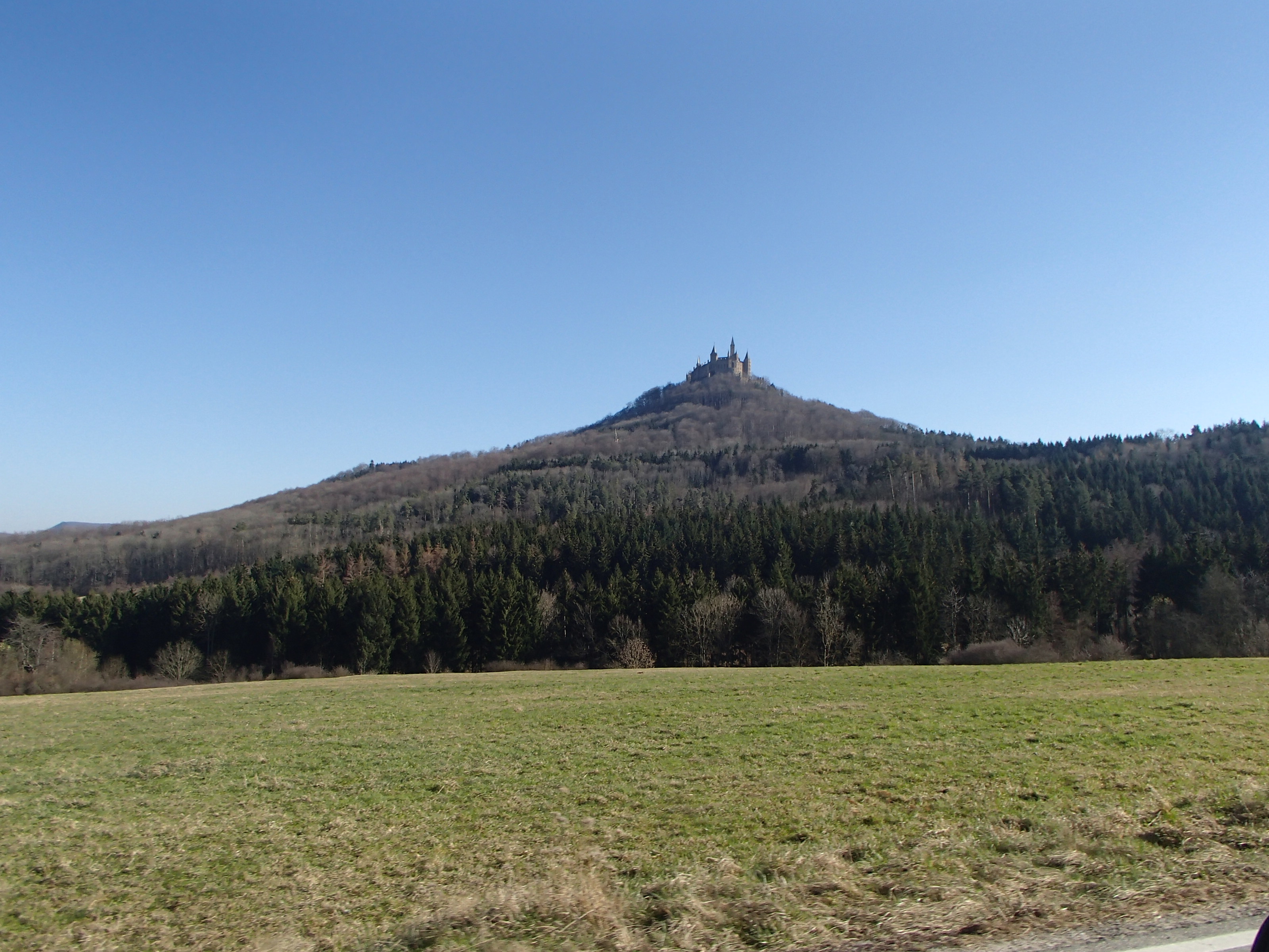 P3121496-tg630