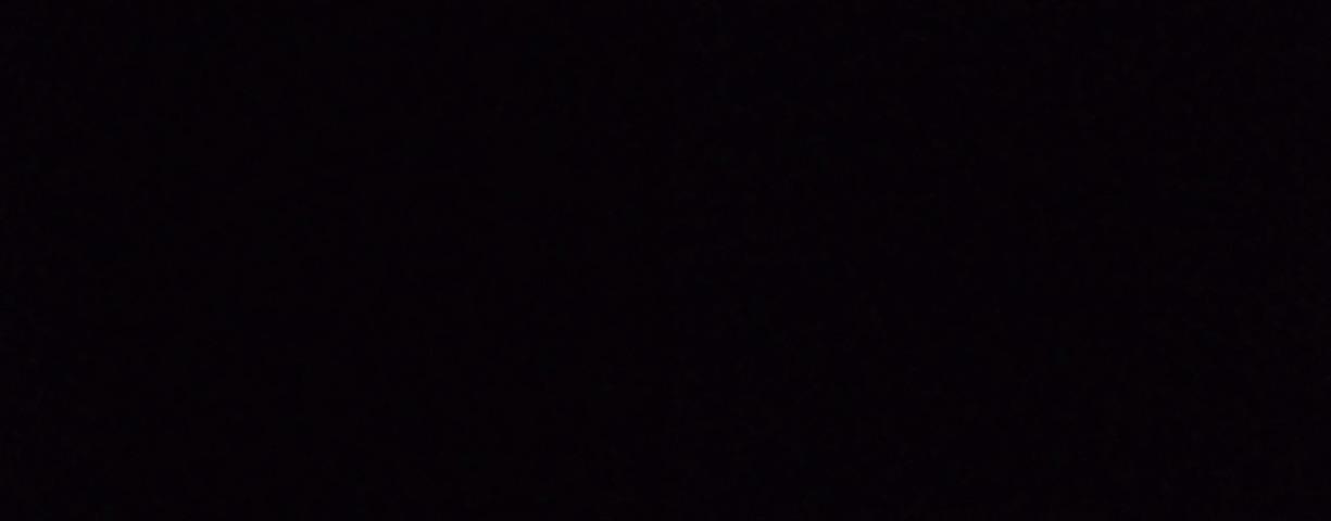 P3151895-tg630