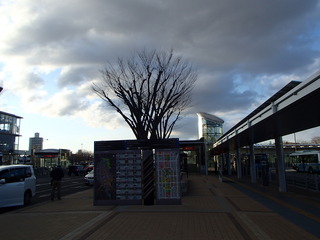P3212167-tg630.JPG