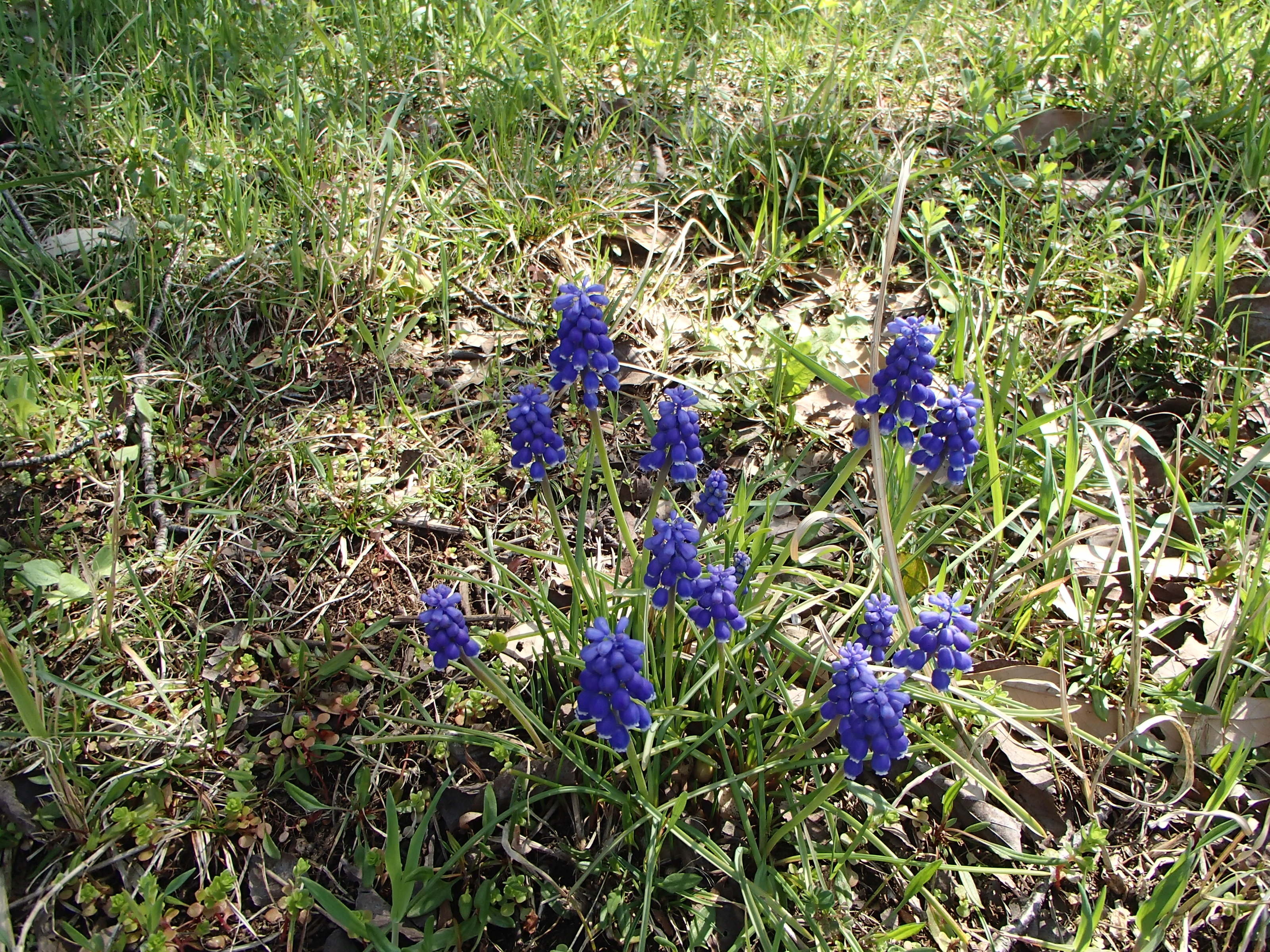 P4082249-tg630
