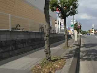 P5080110-tg630.MOV#000430