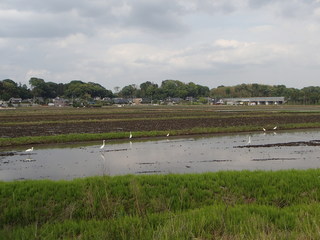 P5080118-tg630.JPG