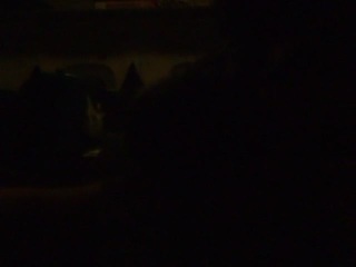 P5220377-tg630.MOV#003700