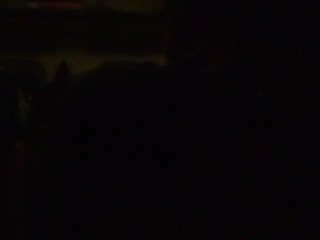 P5220377-tg630.MOV#003900