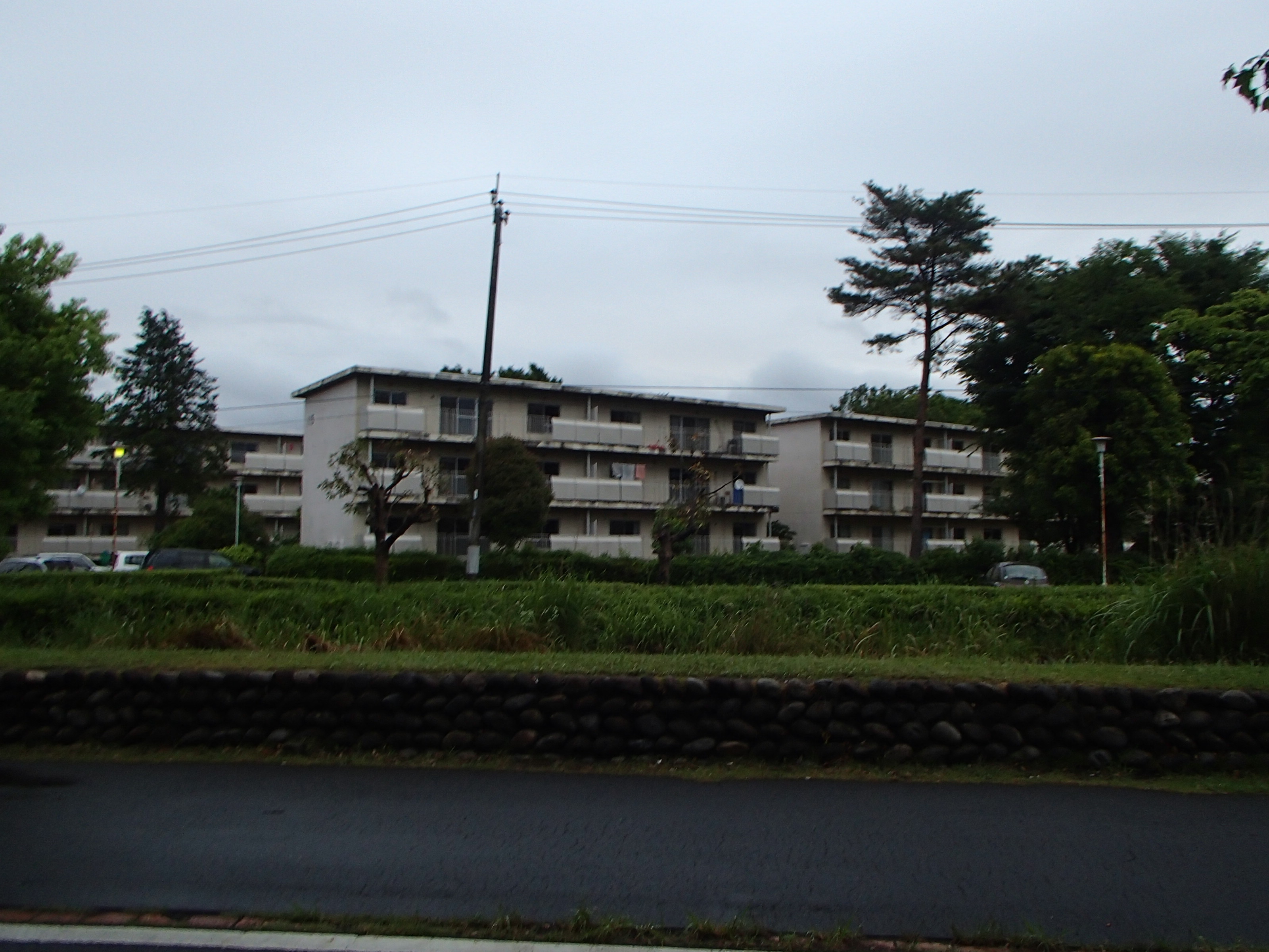 P6060817-tg630