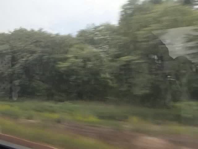 P6060823-tg630#000215