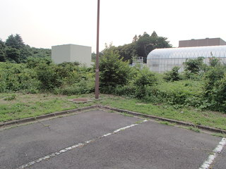 P6171201-tg630.JPG