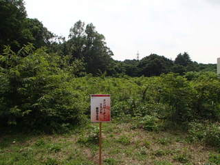 P6210027-tg630.JPG