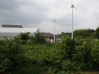 P6210029-tg630.JPG