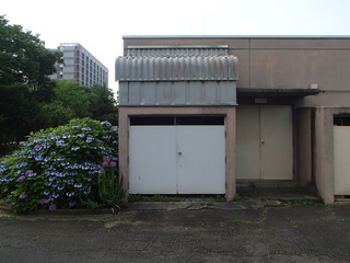 P6230096-tg630.JPG
