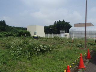 P6230115-tg630.JPG