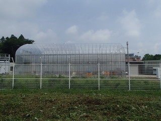 P6230119-tg630.JPG