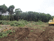 P6260187-tg630.JPG