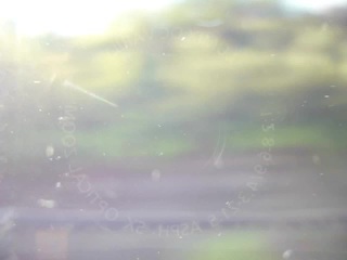 P1000430-xs3.MP4#002315