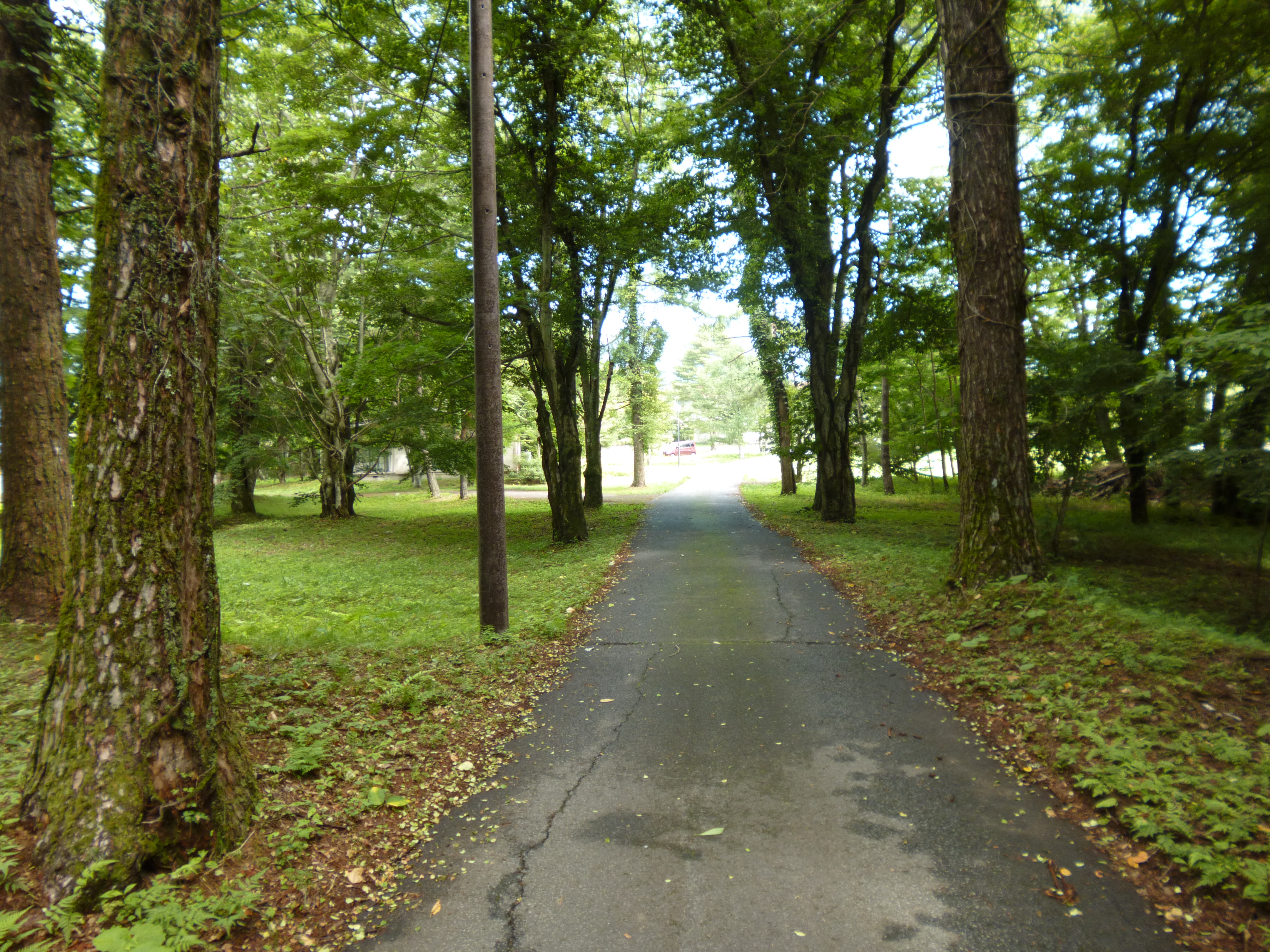 P1000803-xs3